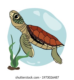Colorful sea turtle drawn doodle with abstract shapes vector EPS10