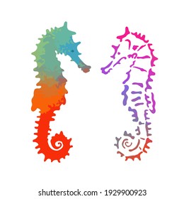 Colorful seahorse object. Vector illustration