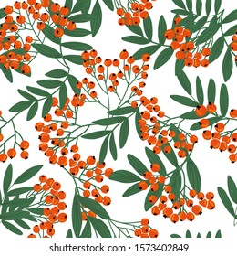 Colorful seamless pattern with ash berry and leafs on isolated background for wallpapers, coverage, wrapping paper, textile, cloth, fabric and other print and design. Vector hand drawn illustration.