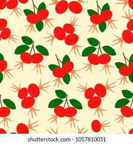 Colorful seamless pattern with dog-rose fruit, vector illustration
