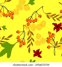 Colorful seamless pattern with hand draw autumn leaves. Vector 10 EPS for your creative design