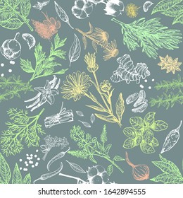 Colorful seamless pattern of hand drawn sketch style different kinds of herbs and spices isolated on white background. Chalkboard vector illustration.