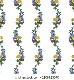 Colorido patrón sin costuras con un adorno lineal de ramos de flores de achicoria, tansia, trébol, dibujo esquemático con un revestimiento. 