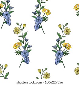 Colorido patrón sin costuras de flores silvestres de achicoria, tansy en un fondo blanco. Ilustración vectorial para textiles, anuncios, postales, invitaciones, carteles, banners, tela, papel.