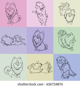 Colorful seamless tiles with Pomeranian small dogs contours in different poses