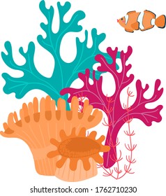 Colorful seascape in cartoon style, underwater world oceanic coral reef, design, flat vector illustration, isolated on white. floating, orange-white clownfish, branched multi-colored corals at bottom.