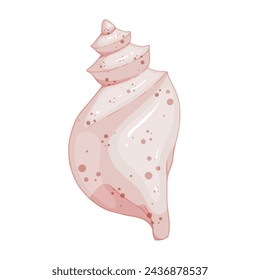 Colorful seashell. Clam shell. Vector graphic.