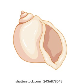 Colorful seashell. Clam shell. Vector graphic.
