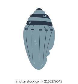 Colorful seashell icon. The clam symbol is isolated on a white background. Vector illustration.