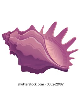colorful seashell isolated on white background - vector illustration