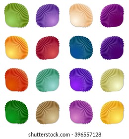 Colorful seashell template background. Vector illustration for your design