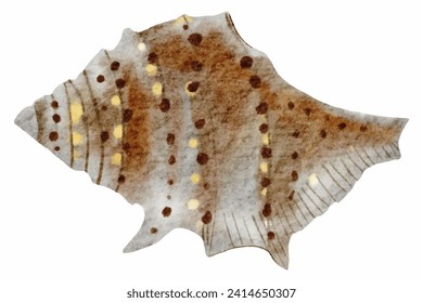 Colorful Seashell Watercolor Painting - Artistic Marine Wildlife Illustration