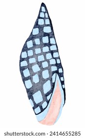 Colorful Seashell Watercolor Painting - Artistic Marine Wildlife Illustration