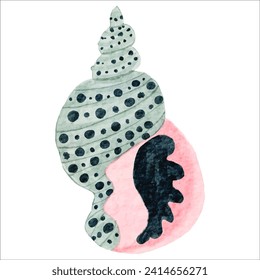 Colorful Seashell Watercolor Painting - Artistic Marine Wildlife Illustration
