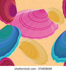 colorful seashells on the sand