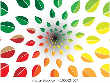Colorful season of leaves