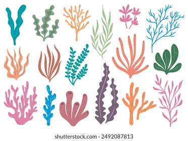 Colorful Seaweed and Coral Vector Illustrations - Marine Life Clipart Collection