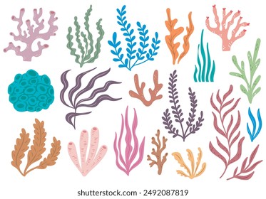 Colorful Seaweed and Coral Vector Illustrations - Marine Life Clipart Collection