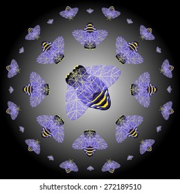 Colorful set of abstracts flies, wasps, butterflies, insects on the dark background. Vector illustration