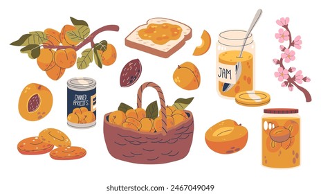 Colorful Set Of Apricots, Including Canned Apricots, Jam, Blossoms, Basket And Fresh Fruits, Presented In Various Forms