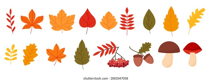 Colorful set with autumn elements flat style eps 10