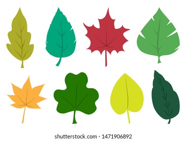 Colorful set of autumn leaves different shapes isolated on white background. Vector illustration