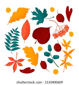 Colorful set of autumn leaves. Doodle vector illustration.