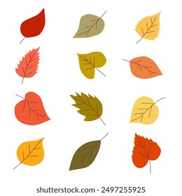 colorful set of autumn leaves on a light background.	