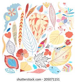 Colorful set of autumn leaves and other natural elements. Vector illustration 
