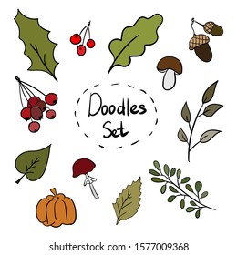 Colorful set of autumn objects. Leaves, branches with berries, mushrooms. Doodles on white isolated background.