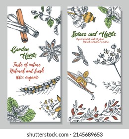 A colorful set of background images with herbs and spices. Bright, colorful hand drawing. 
Vector for menu, restaurant, food and kitchen design.

