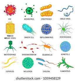 Bacteria Names Images, Stock Photos & Vectors | Shutterstock