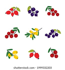 bunte Beeren-Reihe im Flachstil