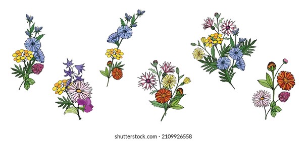 Colorful Set Of Bouquets Of Wild Flowers Of Chicory, Tansy, Clover, Bluebell, Violet, Outline Drawing With Liner. Vector Illustration For Festive Design Poster, сard, Tee Shirt, Home Decor.