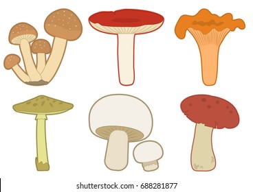 Colorful set of cartoon different mushrooms isolated on white background. Vector illustration