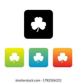 Colorful Set of Clover Leaf Icons