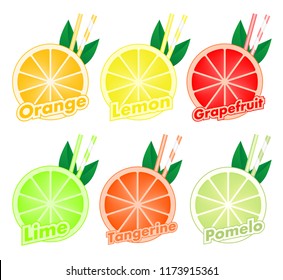 Colorful set of cut slices of citrus fruits with colorful two straws and green leaf of orange, lime, grapefruit, tangerine, lemon and pomelo. Mixed fresh health fruit. 