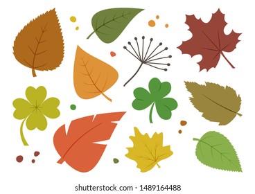 Colorful set of different autumn leaves, hand drawn. Vector illustration