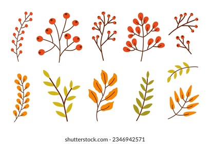 Colorful set of different branches with leaves, red berries isolated on a white background. Vector illustration
