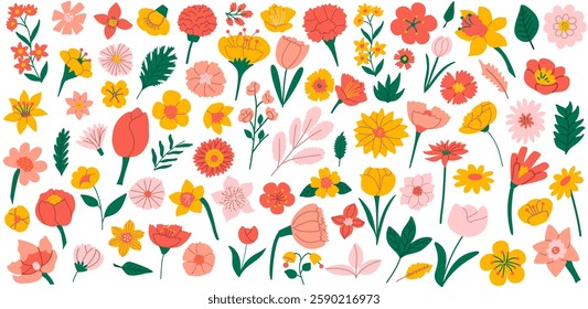 Colorful set with different hand draw flowers. Floral design elements. Tulip, roses, daffodils, chamomile and various plants