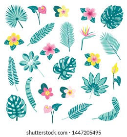 Colorful set of the different tropical plants and flowers. Vector illustration.