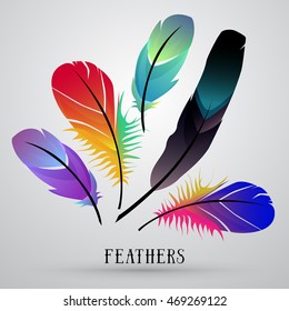 Colorful set with Feathers. Vector illustration