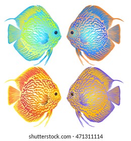 Colorful Set of Fish. Vector illustration