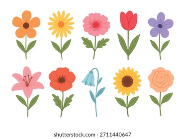 Um conjunto colorido de ilustrações de flores de vetor planas com várias flores de primavera e verão, como margarida, tulipa, girassol, lírio, papoula e rosa. Projetado em um estilo limpo e moderno com pastel macio