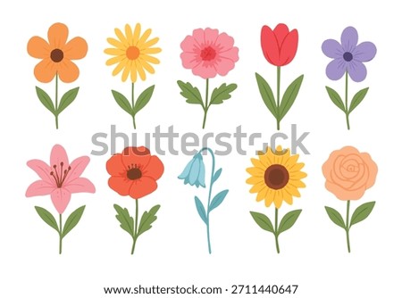 A colorful set of flat vector flower illustrations featuring various spring and summer blooms such as daisy, tulip, sunflower, lily, poppy, and rose. Designed in a clean, modern style with soft pastel
