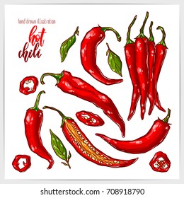 Colorful set of hot and tasty chili pepper, whole and sliced, with leaves. Hand drawn illustration with hand lettering headline.