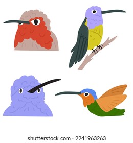 Colorido conjunto de colibríes. Ilustraciones dibujadas a mano vectorial plana sobre fondo blanco.