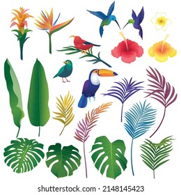 Colorful set of isolated tropical leaves, flowers and birds of Hawaii on white background