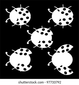 colorful set of Ladybird, vector