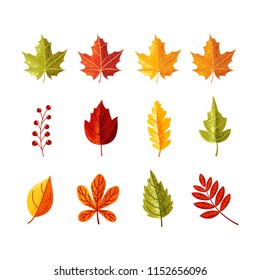 Colorful set leaves with grain shadow style for autumn season. Can use for editorial, sticker, icon, and promotional